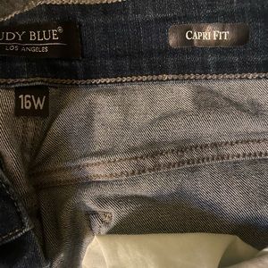 16W EUC Judy Blue Jeans